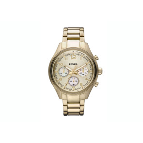 Uhrenarmband Fossil CH2791 Rostfreier Stahl Vergoldet 22mm